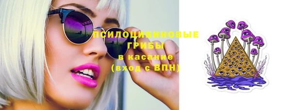 дмт Дмитров