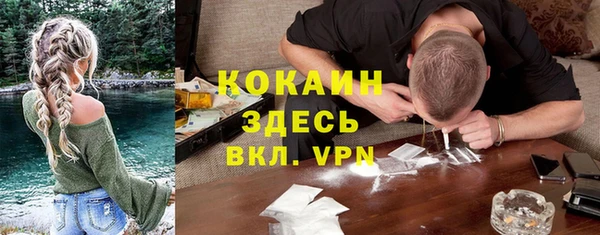 дмт Дмитров