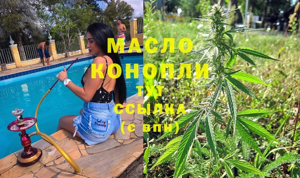 дмт Дмитров
